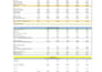 build professional financial models, forecasts and budgets in excel